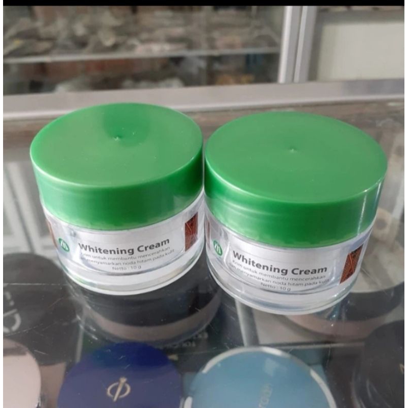 Liz Skincare Skin Renewal Cream / KrimPerawatan Flek & Bekas Jerawat