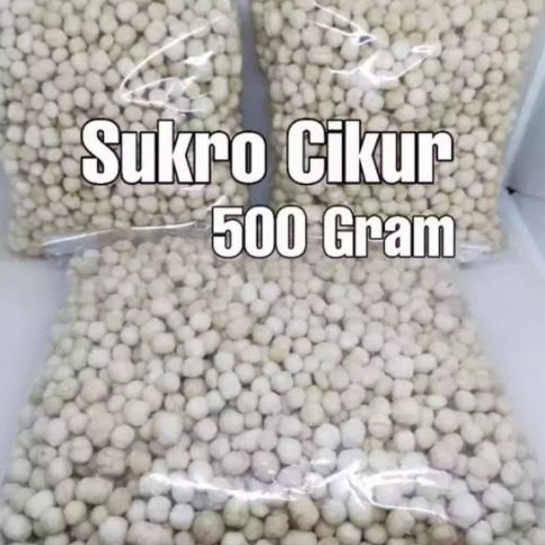 

Terlarisss sukro cikur 500gr murah pilus cikruh toping baso aci 09emp