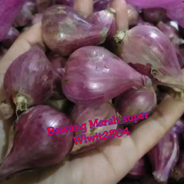 

Terb4ruy Bawang Merah Brebes Super ukuran besar 1kg In Sale