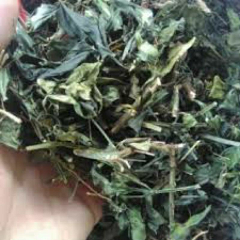 

Sambiloto kering herbal 1kg