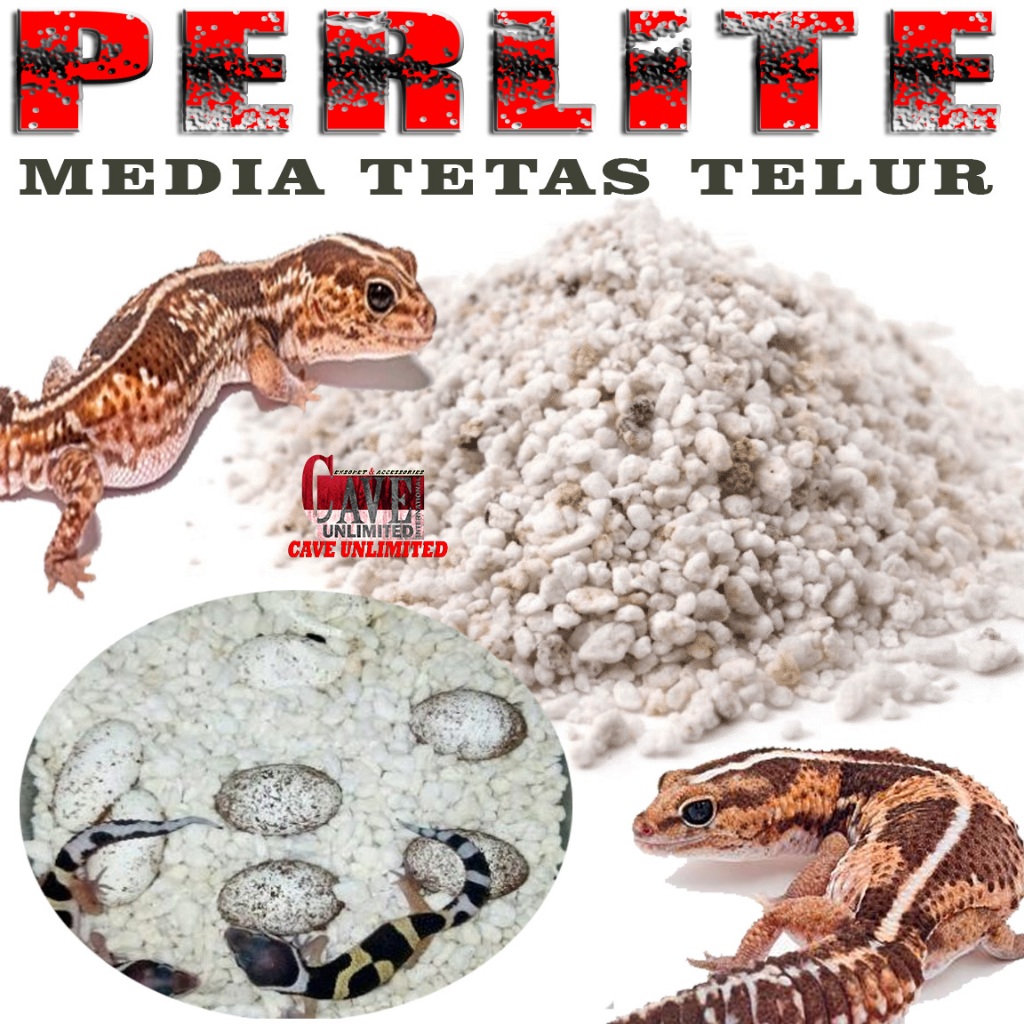 PERLIT PERLITE ALAS INCUBASI  SUBSTRAT MEDIA TETAS PENETASAN TELOR TELUR REPTILE LEOPARD GECKO BEARD