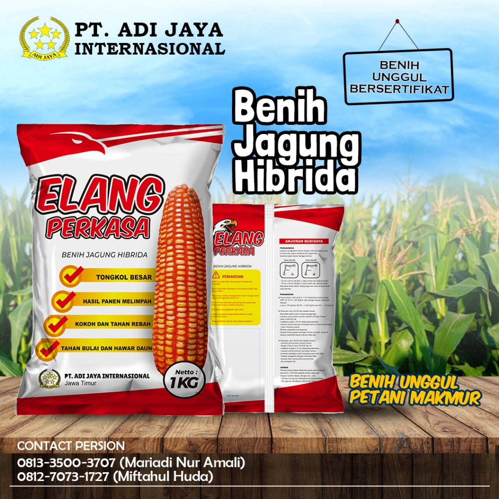 Benih Jagung Hibrida Elang Perkasa TKS 234