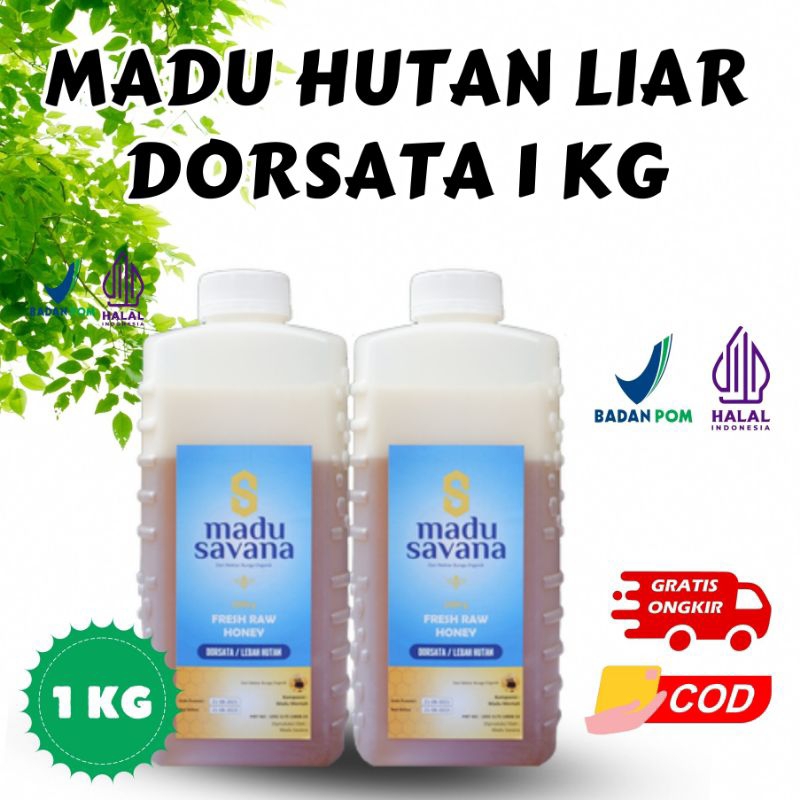 

Madu Hutan Liar Dorsata 1 kg 100% Organic