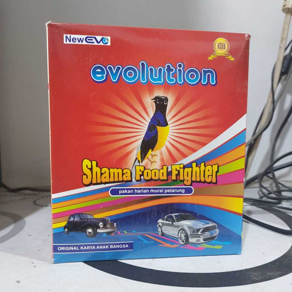 VOER EVOLUTION SHAMA FIGHTER VOER UNTUK MENAIKKAN BIRAHI DAN EMOSI FIGHTER MURAI BATU LOMBA
