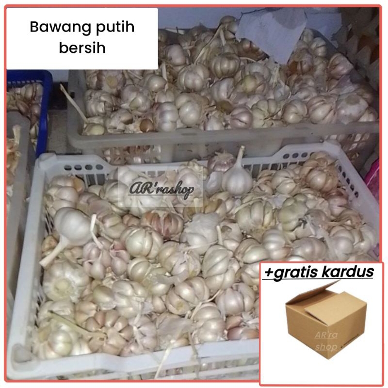 

bawang putih bersih 1 kg