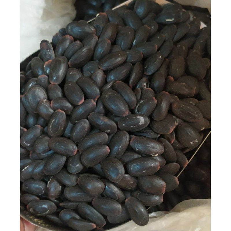 

Biji Kedawung 500gr kwalitas super