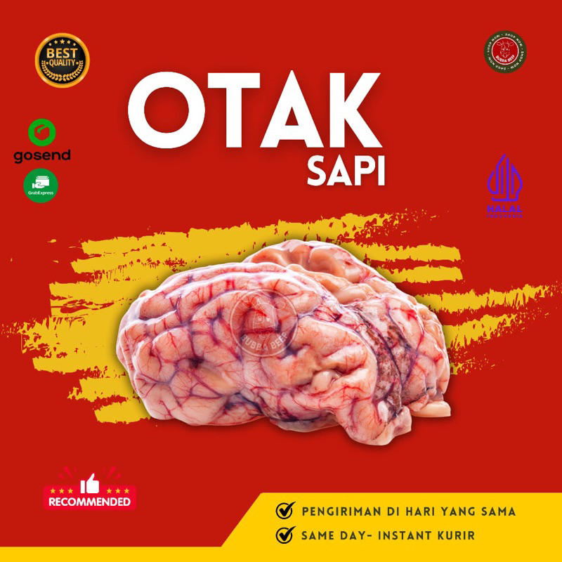 

Otak Sapi Frozen | Otak Sapi Fresh | Otak Sapi Segar | Otak Sapi untuk Mpasi Nutrisi Tinggi | Daging Sapi Segar