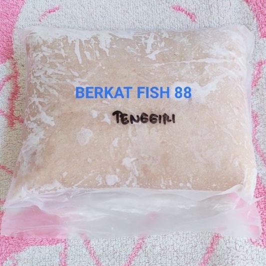 

Import Terlaris Ikan Tenggiri grade 3 