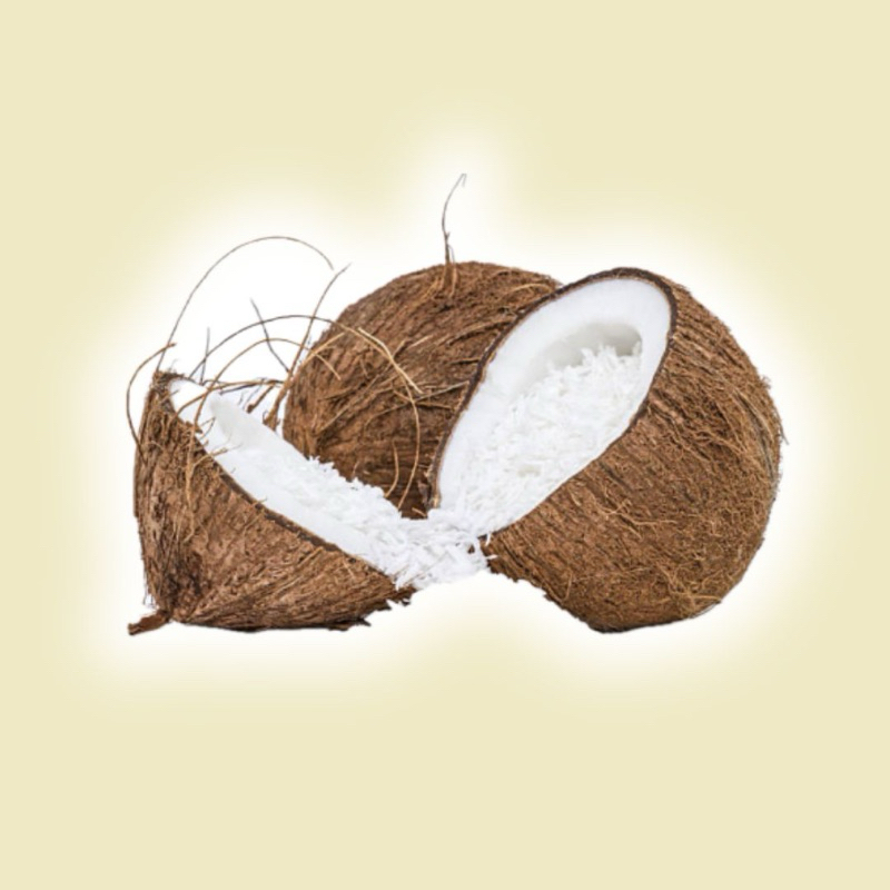 

(KIRIM CEPAT) kelapa kukur stengah / 1 pcs