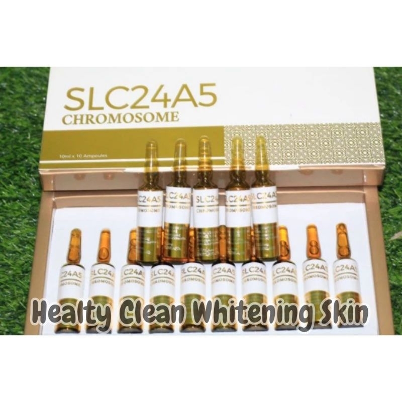 SLC24a5 GOLD Chromosome/SLC24a4 GOLD Booster/Chromosome SLC24a5 GOLD