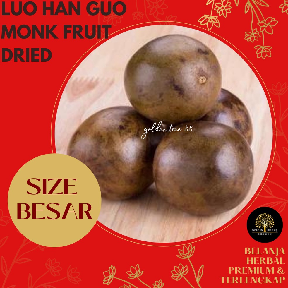 

[♜H16&] Premium Buah Lo Han Kuo Lo Han Guo Asli Tiongkok Fresh Original Ukuran Besar dan Jumbo Recomended