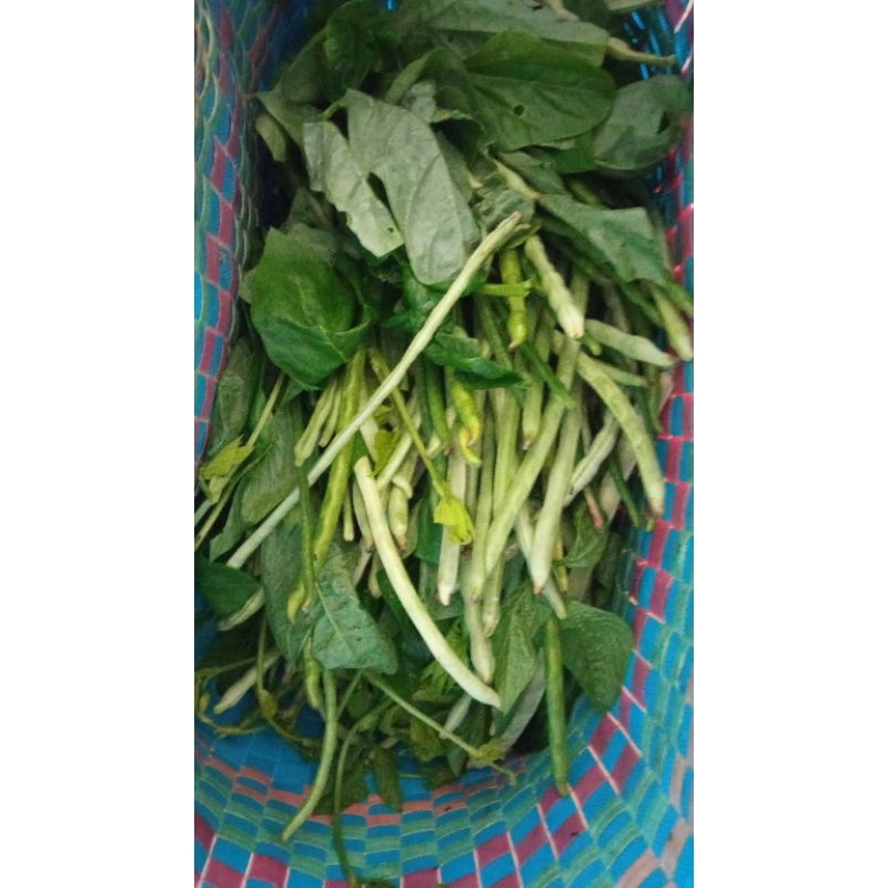 

daun kcang panjang lokal 6000