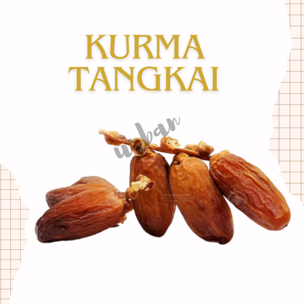 

Kurma Tunisia tangkai premium original murah