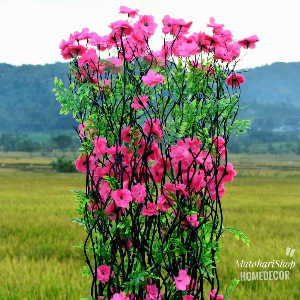 bunga hias plastik 25 Btg Bambu Ulir Hitam Anyelir Pink 170cm (Tanpa Pot)