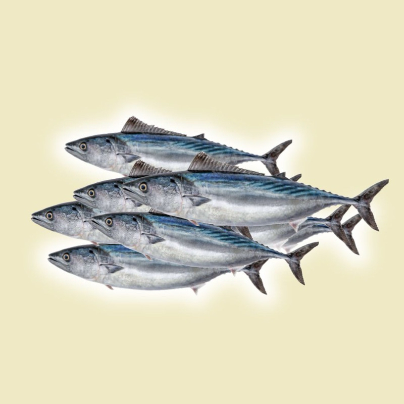 

(KIRIM CEPAT) Ikan cerebok / panggang 1kg