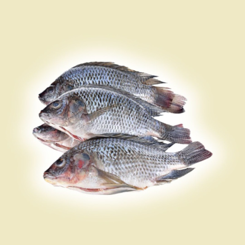 

(KIRIM CEPAT) Ikan munjair 1kg