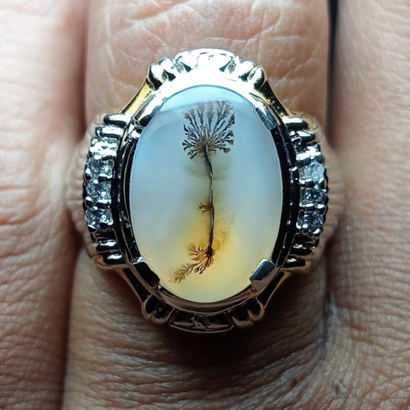 Batu Kristal Gambar - Dendrite Agate Chalcedony. Bukan Batu Bacan Doko Bacan Kristal Bacan Gulau