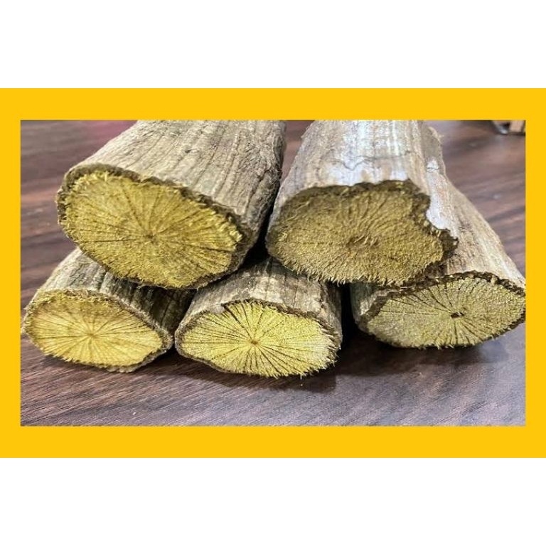 

T3rl@ku. Akar Kayu Bajakan [256]