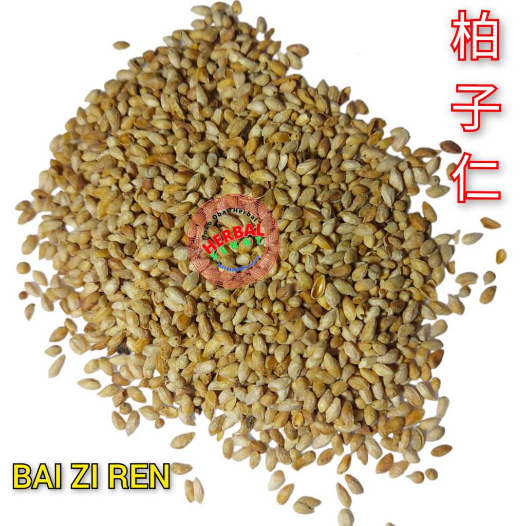 

100 gram - Bai Zi Ren / Bo Zi Ren 柏子仁 - Semen Platycladi Biota Seed - PAK CI JIN