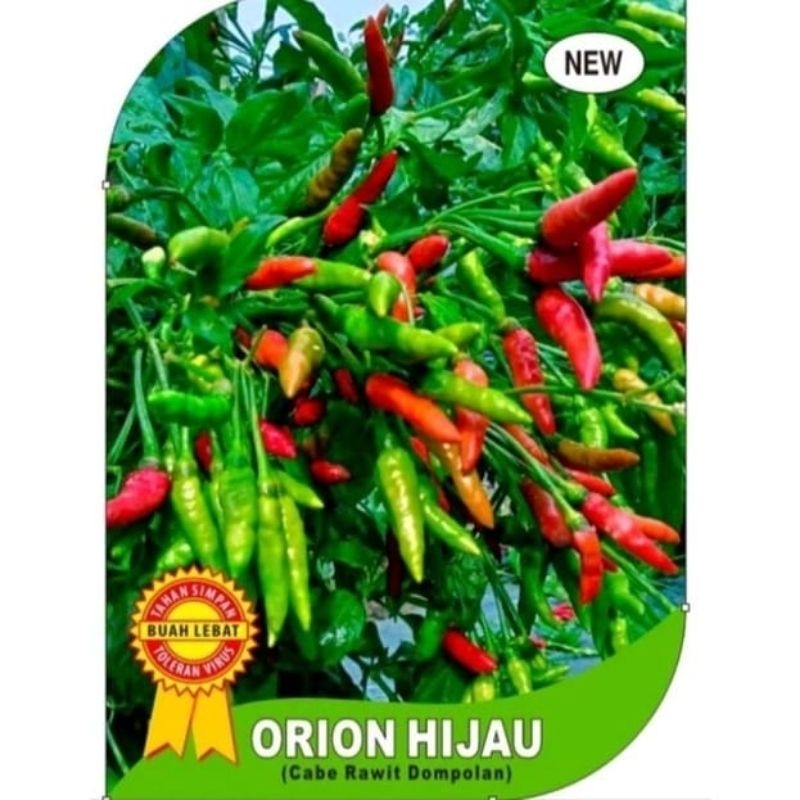 benih cabe rawit orion hijau, benih cabe rawit dompolan, cabe hijau