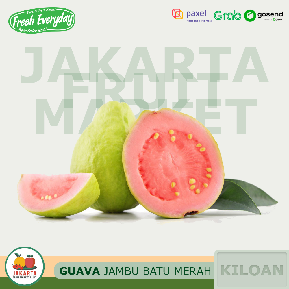 

JAMBU BATU MERAH / KLUTUK / Kristal Fresh Guava Buah Segar kiloan