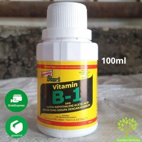 Pupuk Vitamin B1 Untuk Menjaga kesegaran Tanaman