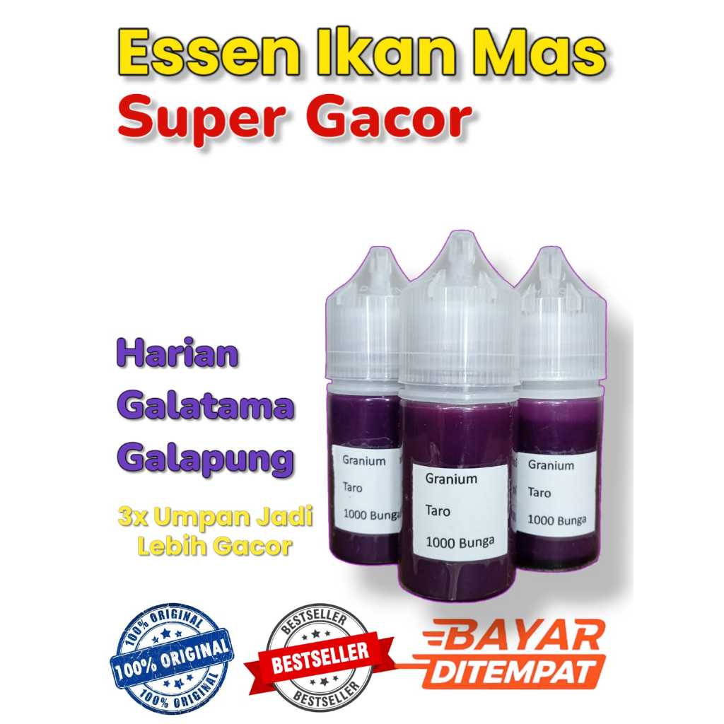 Essen oplosan ikan mas lomba harian kilogebrus ikan rame & indukan, Essen Ikan Mas Indukan Paling Ga