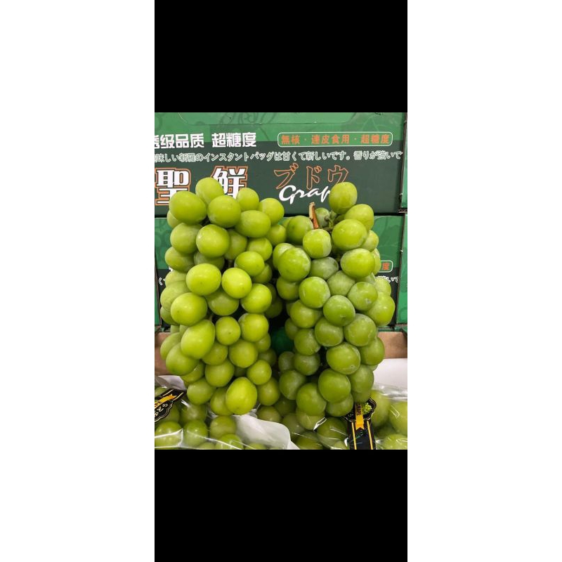 

ANGGUR MUSCAT TANPA BIJI SETENGAH KILO