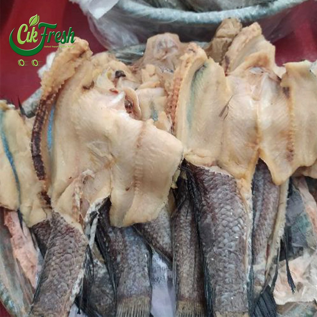 

Ikan asin GABUS grade A kering Best seller Cikfresh