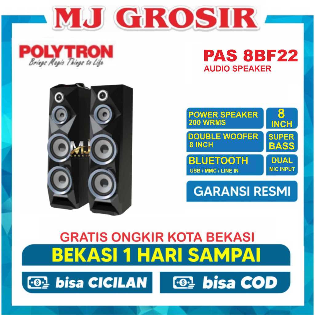 POLYTRON SPEAKER AUDIO PAS 8BF22 USB XBR BLUETOOTH