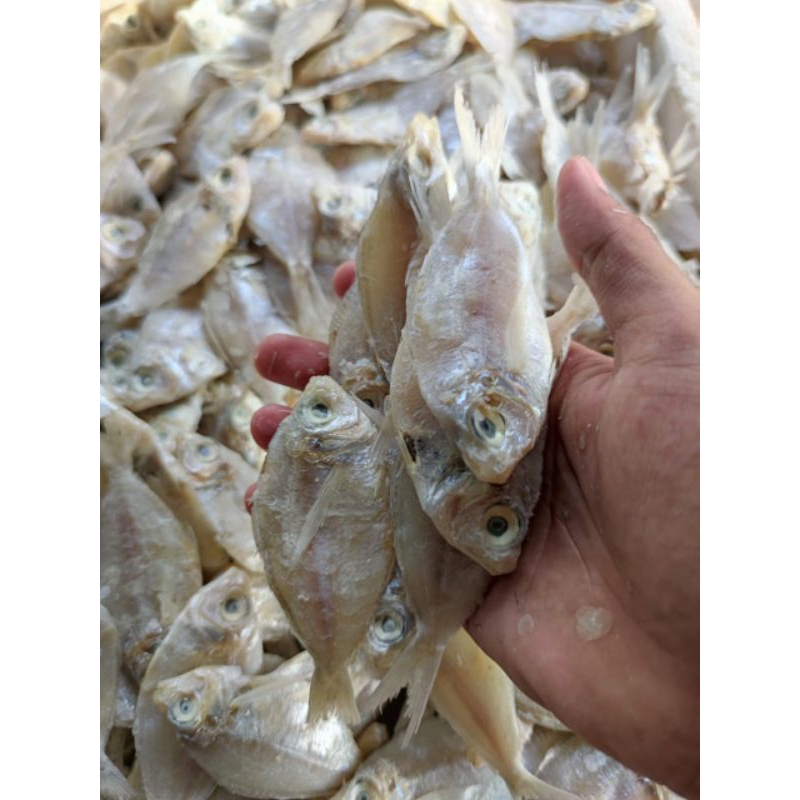 

ikan Asin Kapasan 500gram