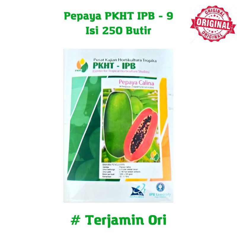 Benih Pepaya Calina/California isi 250 butir inovasi IPB 9 PKHT