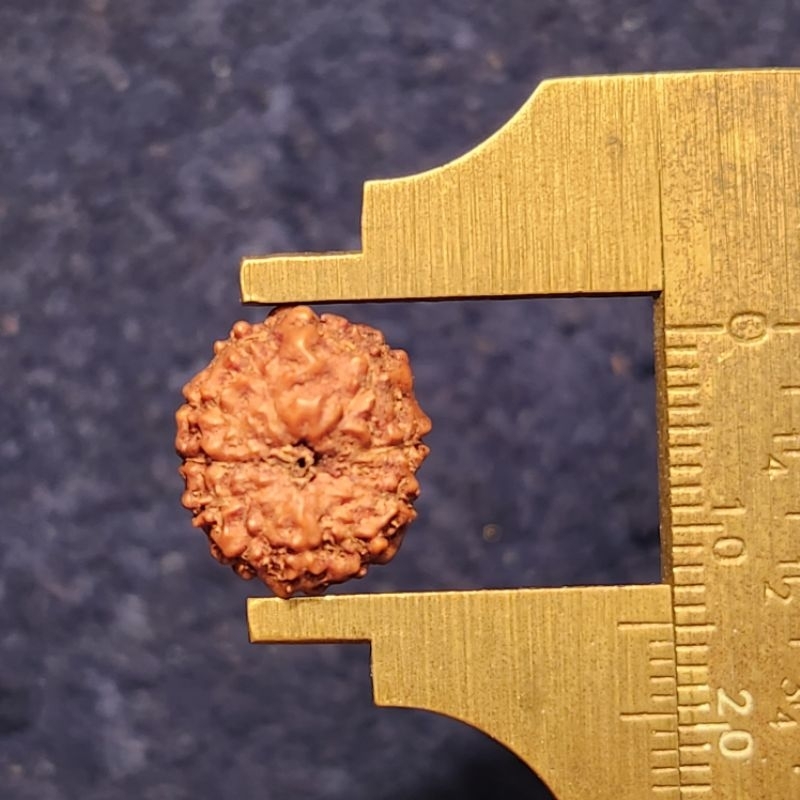 Mukhi 11 medium size