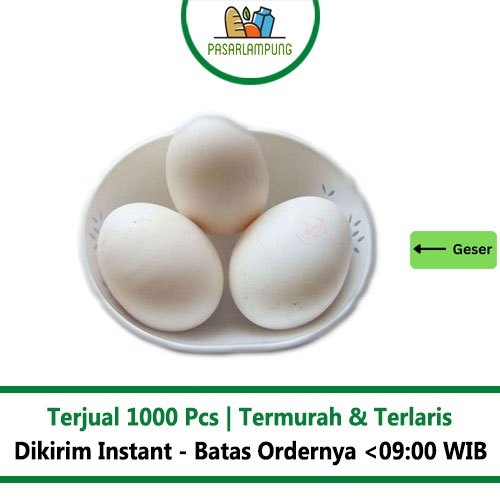 

Telur Ayam Kampung Per Butir Pasar Lampung