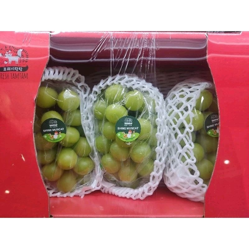 

Anggur muscat korea 1 box merry christmes isi 3 pack