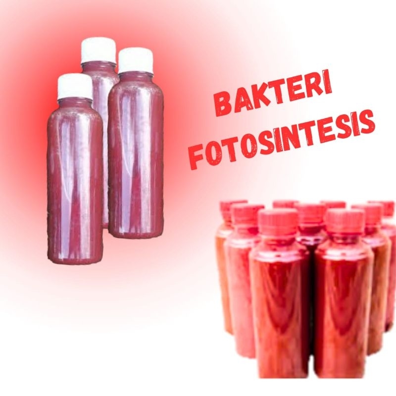 PSB10 Pupuk Organik Bakteri Fotosintesis 1liter