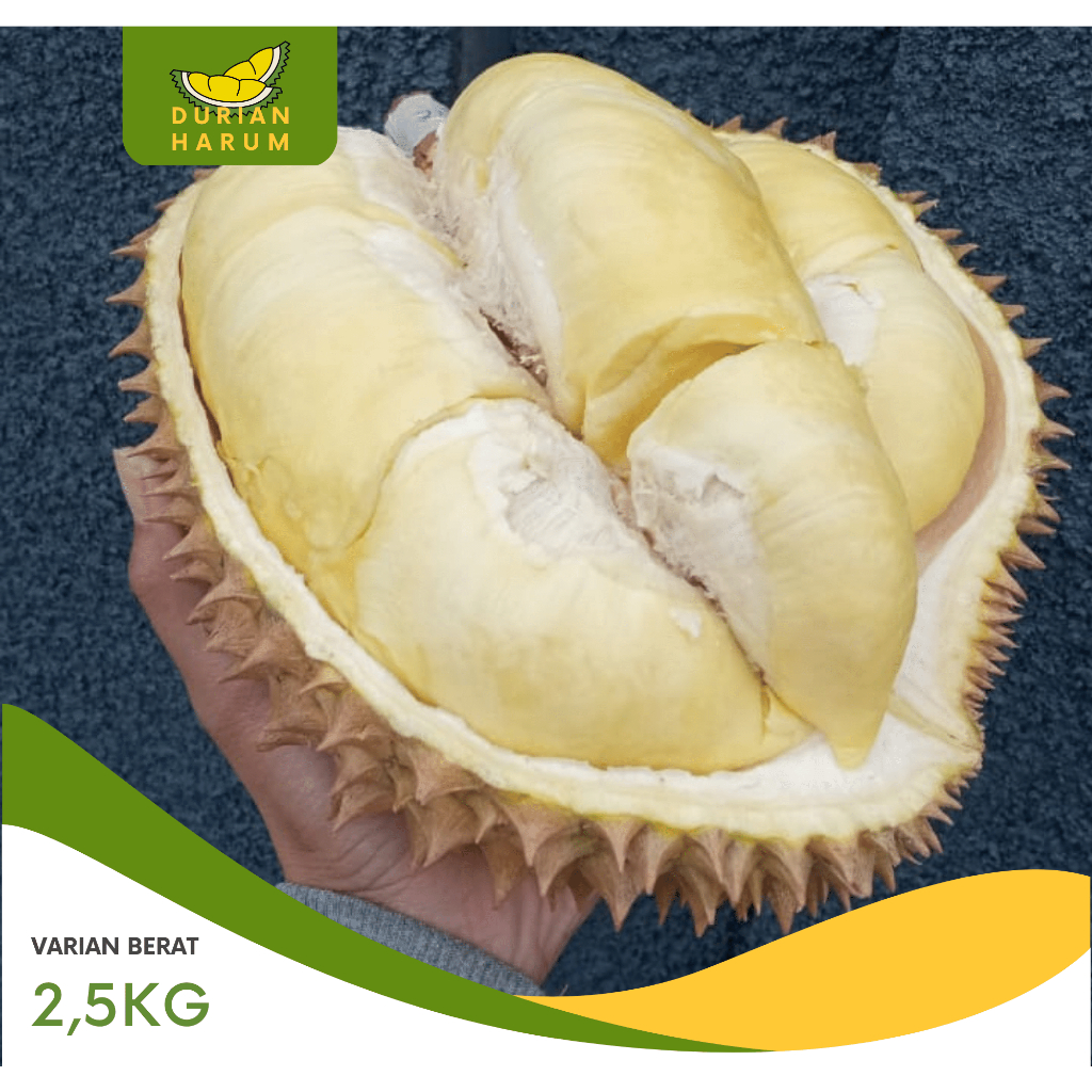 

Montong Bali Singaraja 2,5kg Fresh Manis Legit