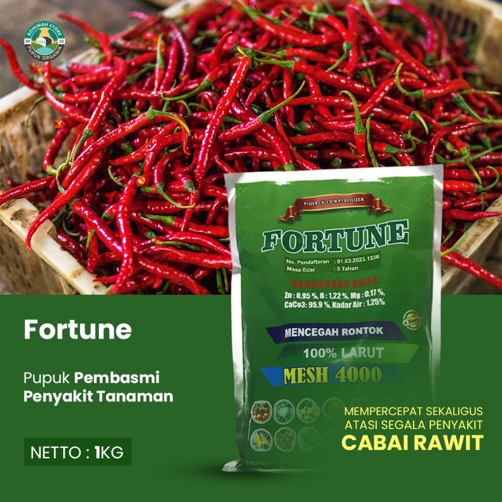 (BAYAR DI TEMPAT) FORTUNE 1KG PUPUK KALSIUM MELEBATKAN TANAMAN PADA CABE ANTI  HAMA & PENYAKIT - Pup