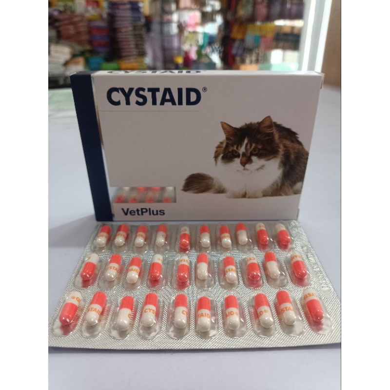 Cystaid Plus ( 1 box : 30 ) CystaidPlus Kapsul Obat Gangguan Saluran Kencing Kucing