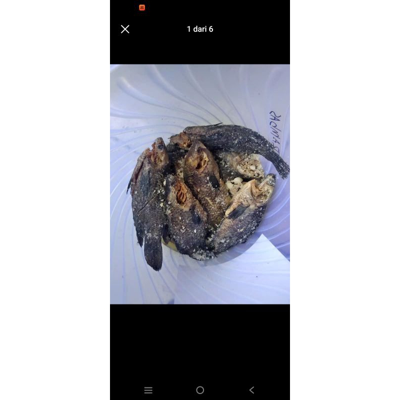 

ikan asin pepuyu khas kalimantan