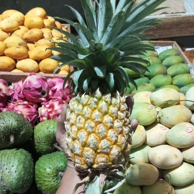 

Nenas Madu Manis , Fresh & Juice