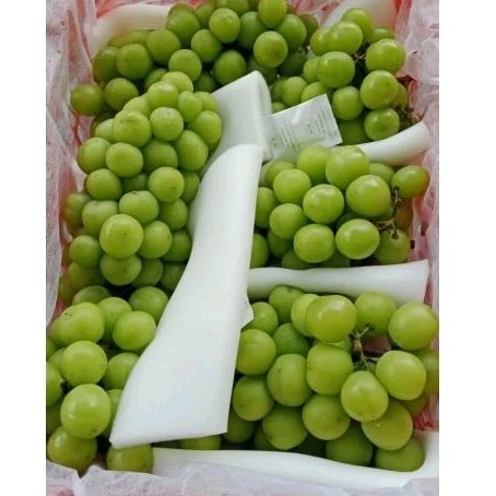 

SHINE MUSCAT PREMIUM | Anggur shine muscat | Buah Anggur Manis