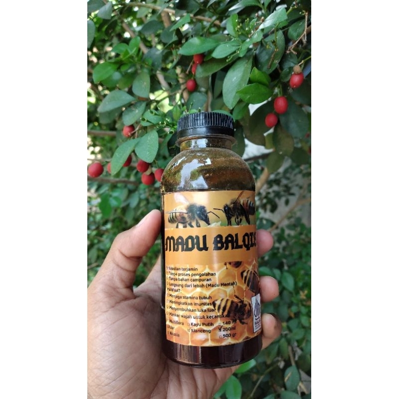 

Madu | Madu Klanceng | 200ml | ASLI | Madu Murni | Madu Balqis | Raw Honey