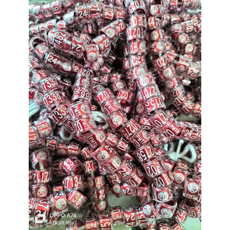 RING MERPATI PMTI 2024 PUSAT