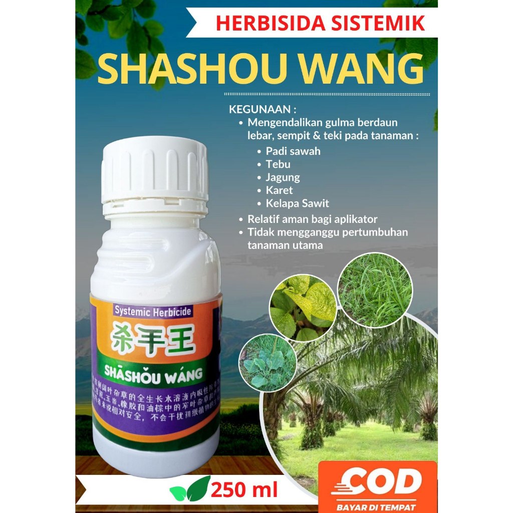 Herbisida Obat Racun Sistemik Gulma Rumput Shasou Wang Ungu Pada Tanaman Padi Jagung Aman dan Ampuh 