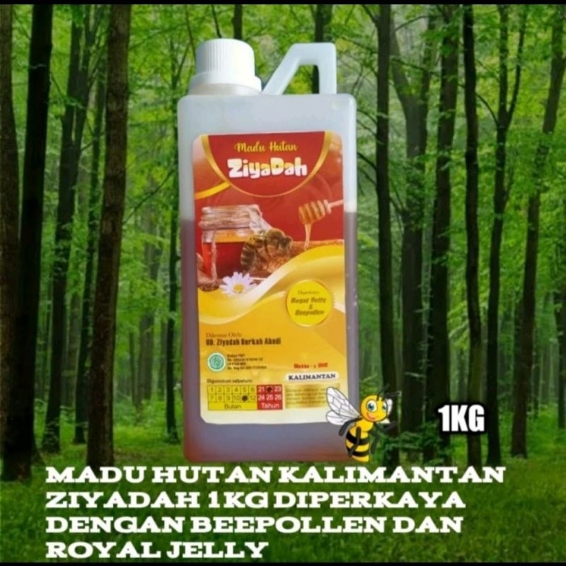 

MADU HUTAN ASLI KALIMANTAN KEMASAN 1KG MURAH DAN KWALITAS TERJAMIN