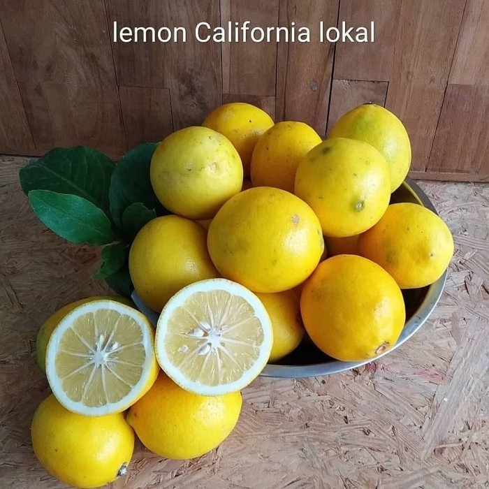 

Domestic Lemon Lokal Setara Lemon Import California Grade A 1 kg