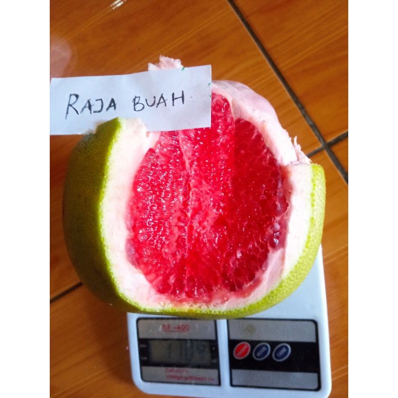 

JERUK BALI MADU POMELO PAMELO [HARVEST LINE]