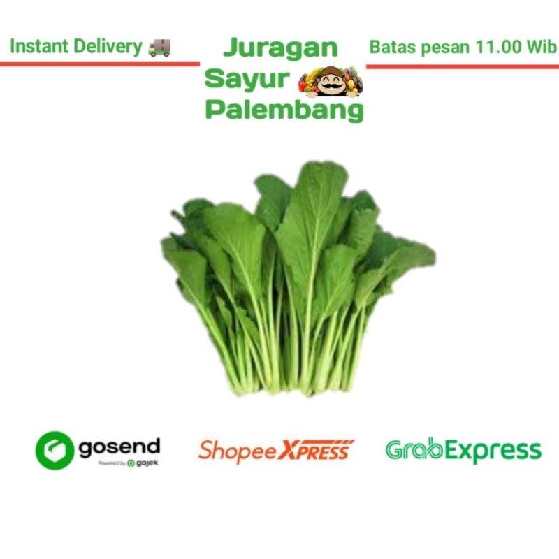 

Sawi Hijau Caisim - Sayuran Pasar Palembang