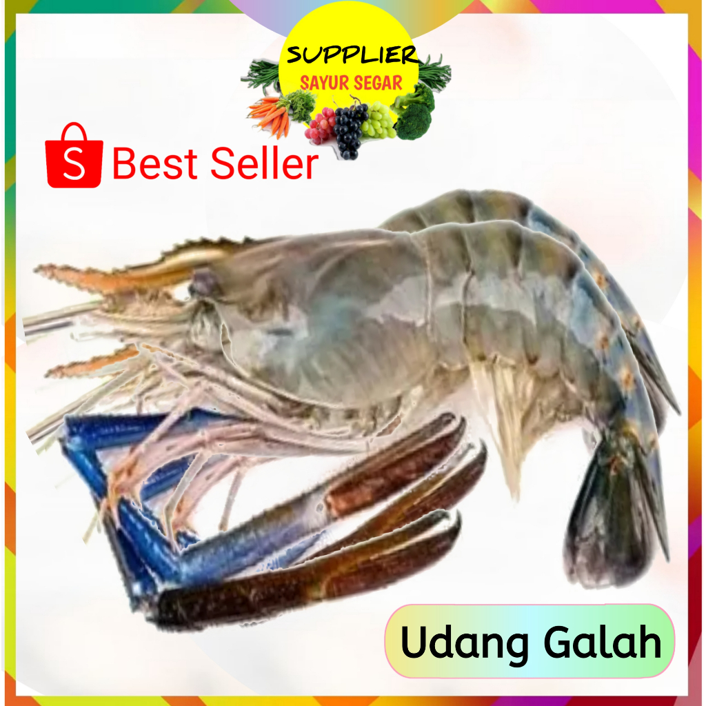Udang Galah / Satang - Segar Palembang